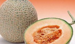 美女吃哈密瓜干视频大全,美女品尝哈密瓜干，视觉盛宴来袭