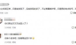 吃瓜干部视频大全,视频大全中的趣味与反思