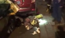 双鱼吃瓜群众视频真实吗,揭秘真相还是网络谣言？