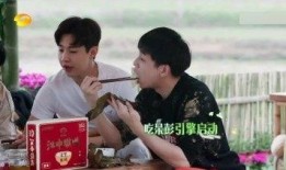 男明星综艺吃瓜视频大全,男明星吃瓜大揭秘，笑料百出瞬间回顾