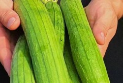 小风讲解吃瓜的视频全集,视频全集精彩回顾