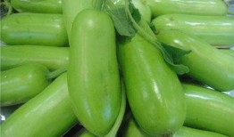 蒲瓜怎么吃才有毒呢视频,揭秘可能导致中毒的食用方法