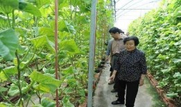 缅北真实女孩视频吃瓜网,吃瓜网带你走进神秘世界