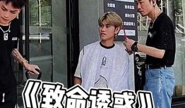 吃瓜群众下场视频,一场全民参与的视觉盛宴