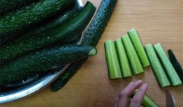 一岁半吃小瓜好吗视频大全,一岁半宝宝吃小瓜的好处与注意事项