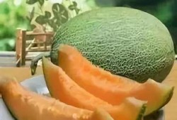 清朝乾隆吃哈密瓜视频播放,穿越时空的皇家美食体验