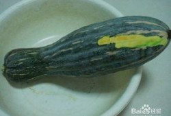 小拉瓜怎样吃最好吃视频,视频教你如何吃出最佳口感