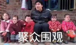 吃瓜干部视频大全,视频大全中的趣味与反思