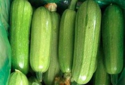 吃西葫芦瓜要削皮吗视频,西葫芦瓜去皮还是留皮？视频揭秘正确食用方法