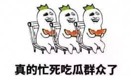 群众吃瓜群视频素材,群众吃瓜群视频背后的社会现象解析