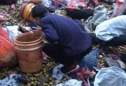 肥乡高庄吃瓜事件视频,一场引发热议的乡村奇观