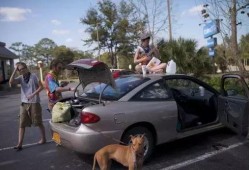 襄阳吃货瓜哥事件视频,一场网络争议引发的美食狂欢