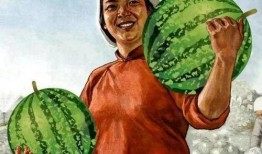 印度一家人吃瓜视频,传统美食与欢乐时光