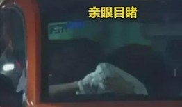 西郊吃瓜事件真相视频全集,真相视频全集深度解析