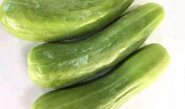 吃酥瓜要削皮吗视频教程,轻松制作美味佳肴