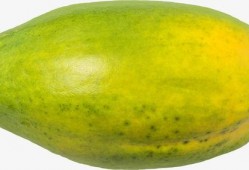 吃绿瓜的视频素材,视频带你领略绿色美味之旅