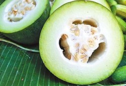 早期网红吃瓜视频大全,那些年我们一起追的“瓜”