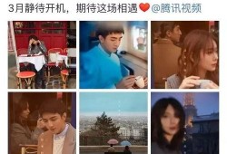 吃瓜群众小狼狗视频播放,揭秘娱乐圈幕后故事