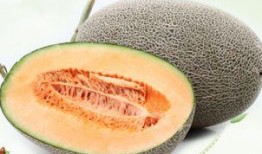 美女吃哈密瓜干视频大全,美女品尝哈密瓜干，视觉盛宴来袭