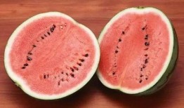 一岁半吃小瓜好吗视频大全,一岁半宝宝吃小瓜的好处与注意事项