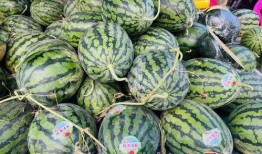 南宁人吃瓜视频,揭秘当地独特美食文化