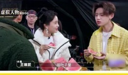 小鬼爆料吃瓜视频大全,吃瓜视频大全，揭秘娱乐圈幕后真相