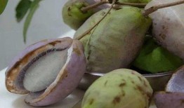 八月瓜的籽怎么吃的视频,视频教你轻松解锁美味秘诀