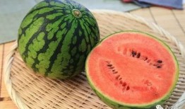 清朝乾隆吃哈密瓜视频播放,穿越时空的皇家美食体验