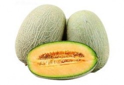 牛爷爷吃哈密瓜视频播放,视频播放引网友热议